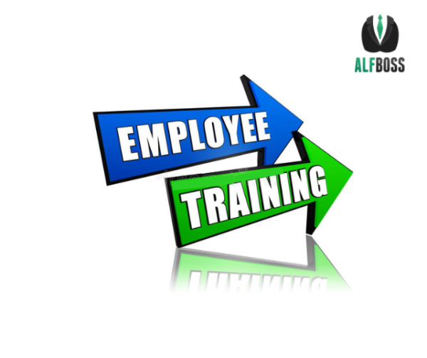 Staffing and Training Employees for Success