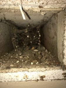 Air Ducts Affect Your Resident's Health