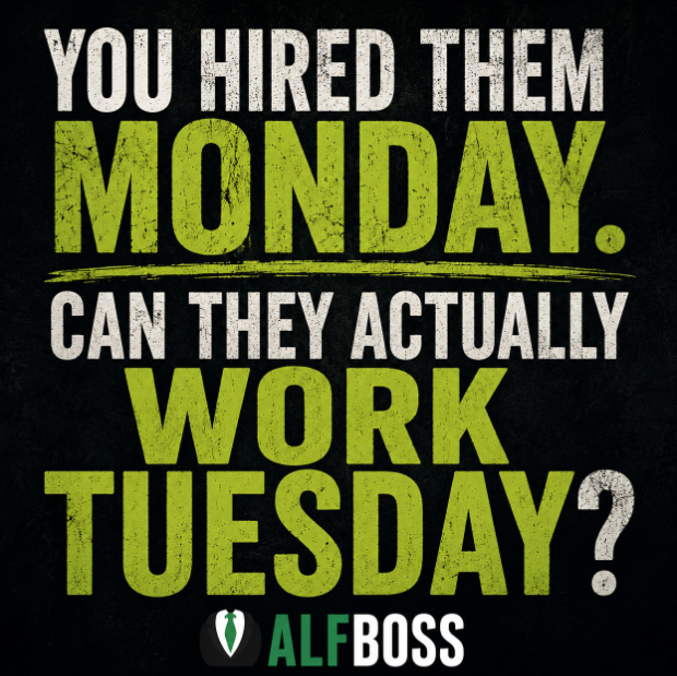 YOU HIRED THEM MONDAY. CAN THEY ACTUALLY WORK ?